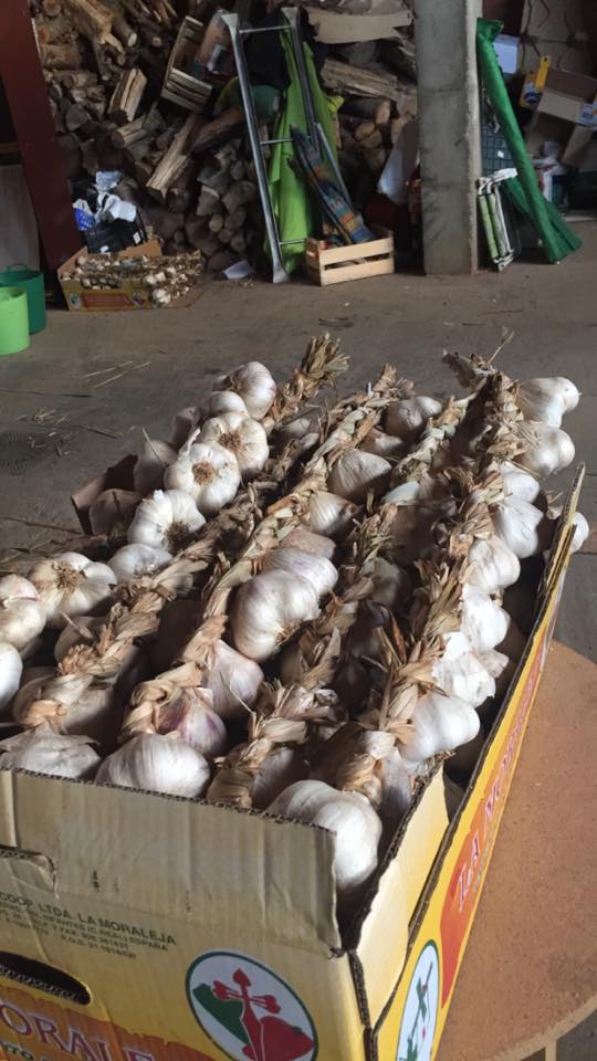 robos Desarticulado un grupo criminal especializado en robos con fuerza en instalaciones agrícolas de Albacete