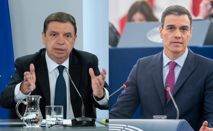 planas sánchez planas sánchez