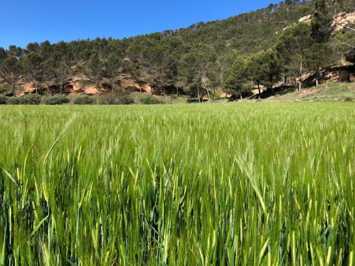 Castilla Mancha PAC