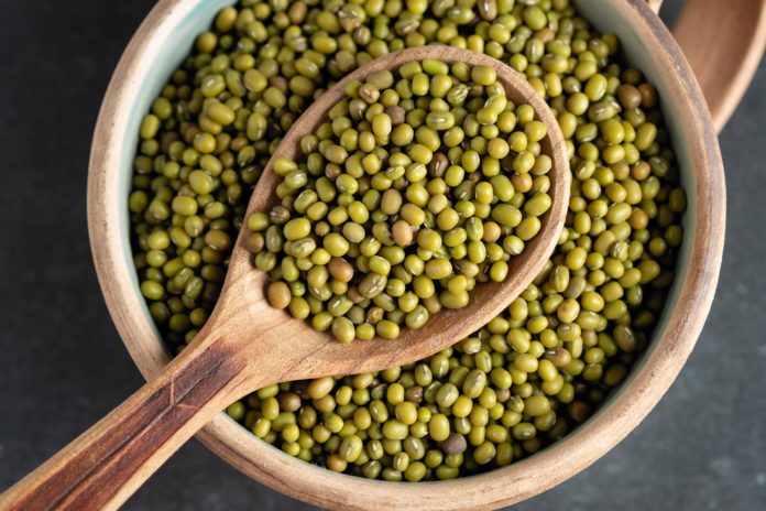 proteína huevo