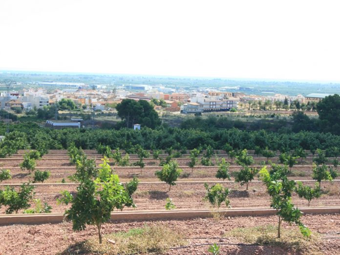 valenciana ayudas