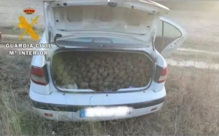 piñas