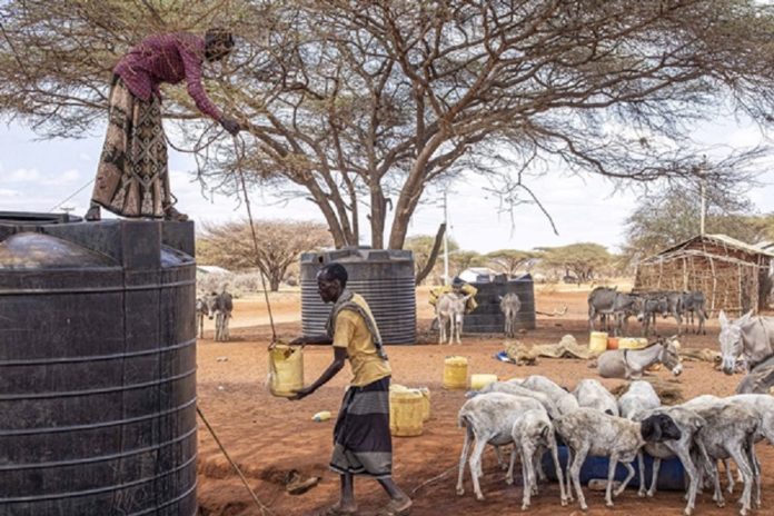 seguridad áfrica