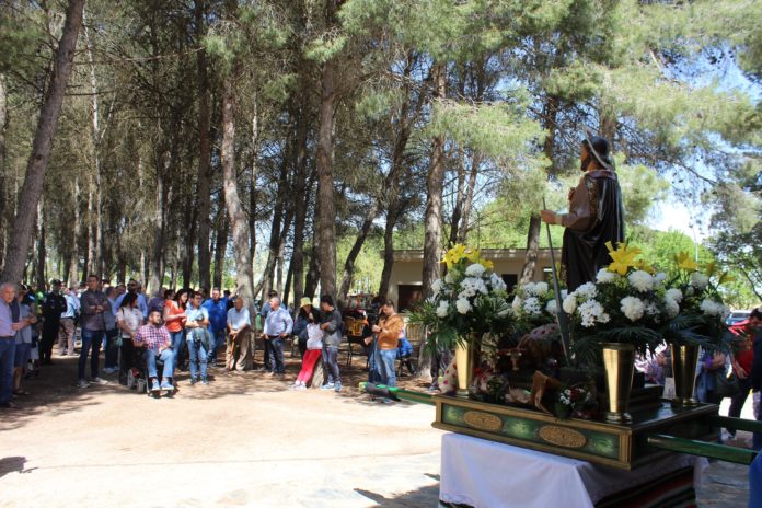 ELAlcalde sector