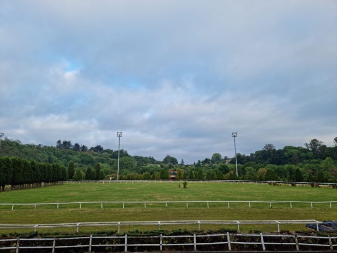 oviedo oviedo