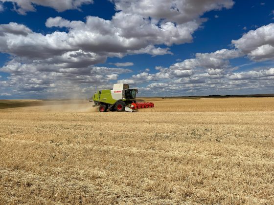 Hablamos de cereales con Jos&eacute; Pravia, presidente de ASAJA C&aacute;diz, y con Nicanor Garc&iacute;a, cerealista en el Valle de la Serena (Badajoz)