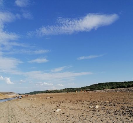 AEMET