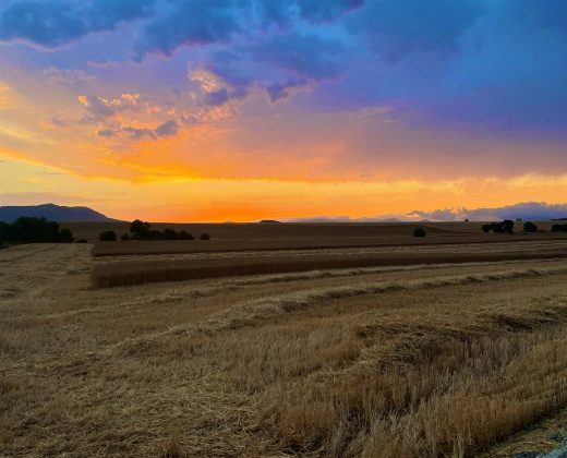 campo europeo