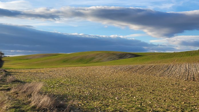 Cumbre europea del campo ya . Por César Lumbreras