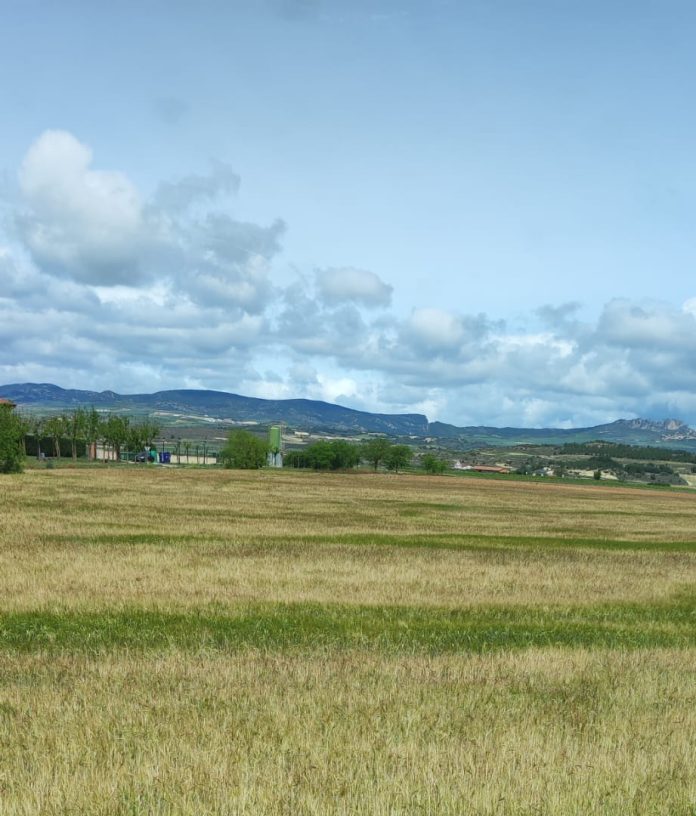 revuelta