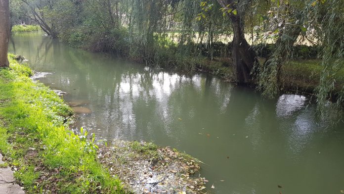 noviembre La Fuentona (Ruente-Cantabria)