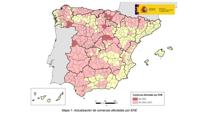 enfermedad hemorrágica Situación de la enfermedad hemorrágica