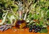 España prevé producir más de 1,6 millones de toneladas de aceite de oliva en la nueva campaña El sector del aceite de oliva vende casi el 95% de la producción pero denuncia precios por debajo de costes