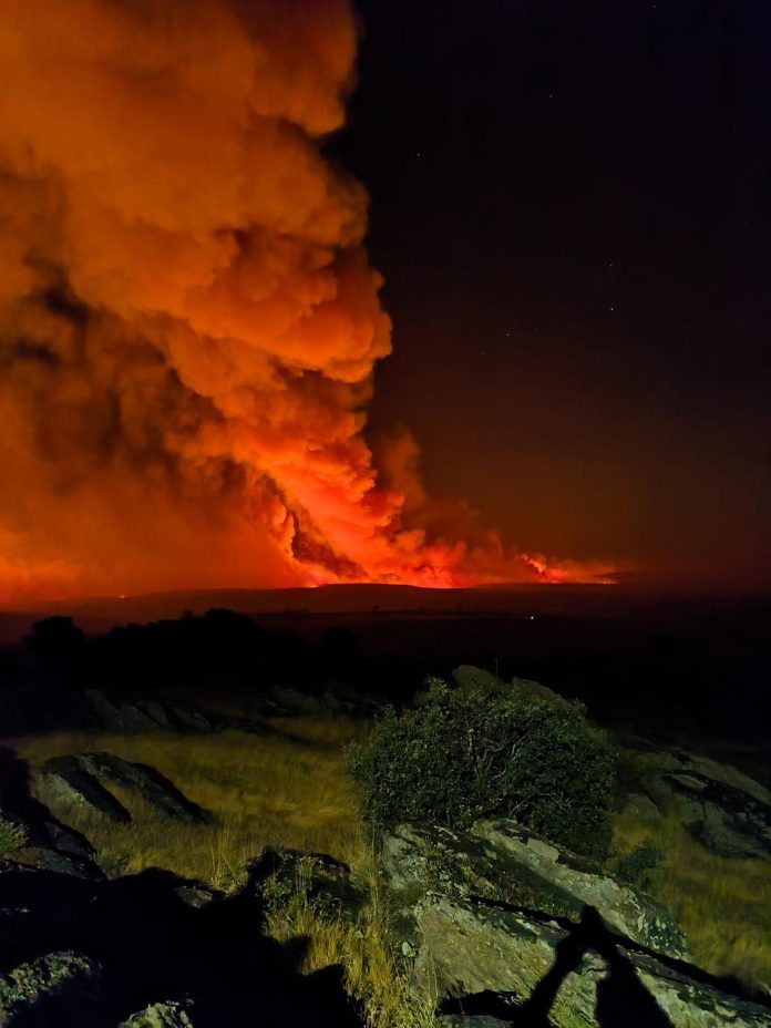 fuego El pregón: fuego