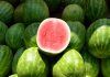 Castilla La Mancha: Las últimas cotizaciones del melón y la sandía se sitúan por debajo de los costes de producción