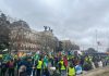 Las organizaciones agrarias quieren «sitiar» Atocha y cercar a Planas con sus tractores